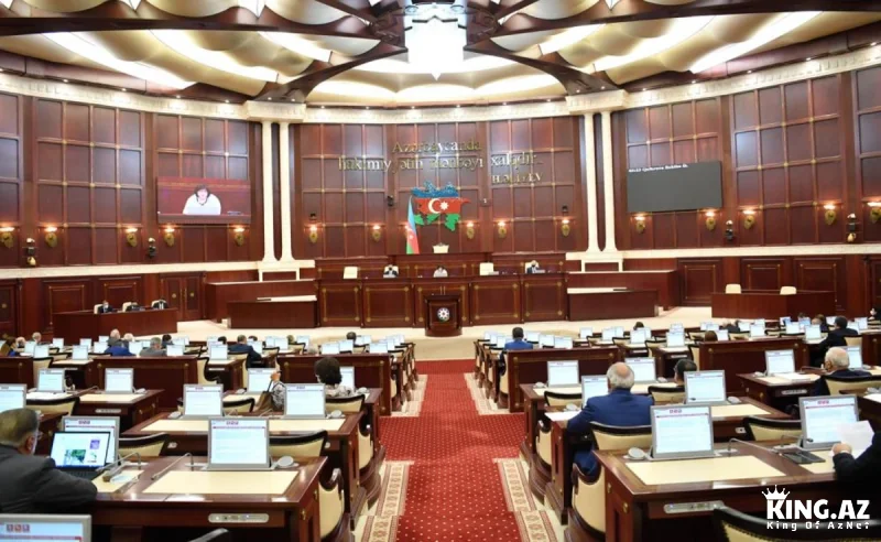 Milli Məclis məişət zorakılığından əziyyət çəkənlərin mühafizə orderi üçün rüsum ödəməməsini TƏSDİQLƏYİB
