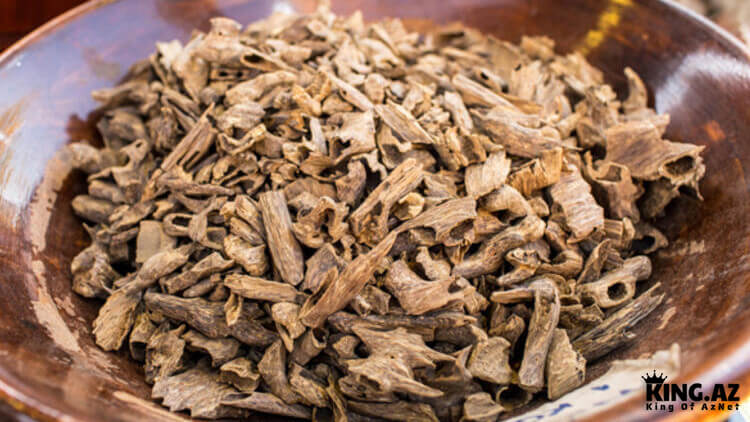 Ən güclü təbii antibiotik: Udi hindi bitkisinin faydaları