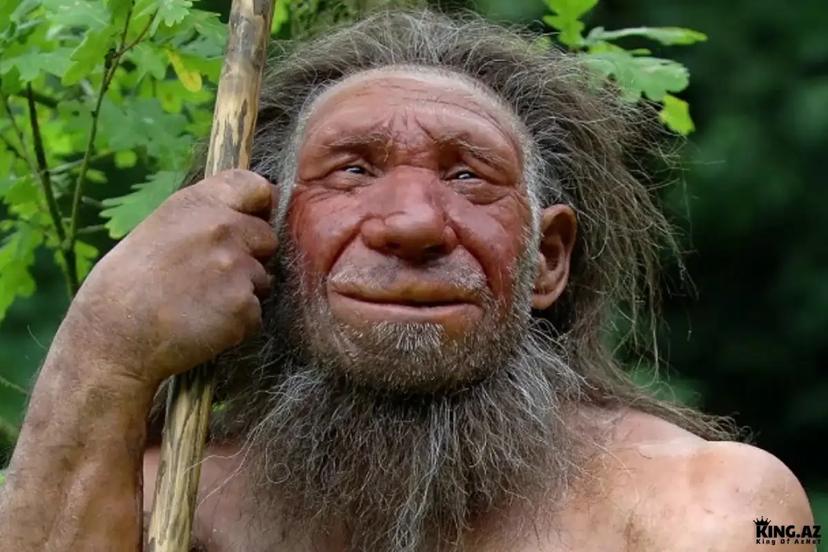 Neandertalların yoxa çıxması ilə bağlı yeni elmi faktlar