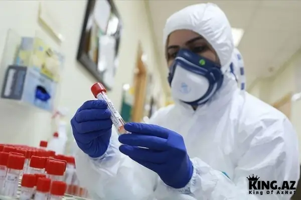 Hantavirus COVID-19-dan təhlükəlidir?